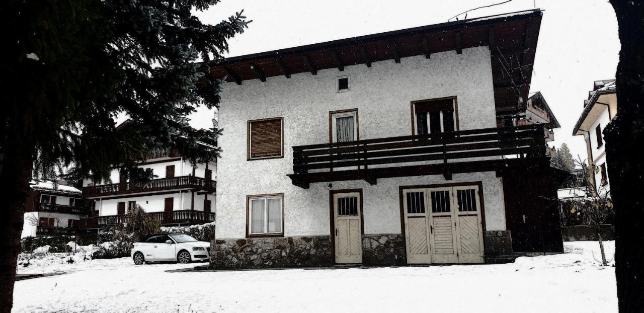 Luminoso Ed Accogliente, Centralissimo Appartamento Indipendente コルティーナ・ダンペッツォ エクステリア 写真